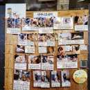 사바나 코쉬카 이미지