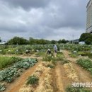 용인농장 이미지