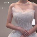 베스트투어비즈