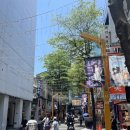 [대만여행] 🇹🇼🇹🇼🇹🇼 대만 타이베이 여행 5️⃣ / 시먼딩 아종면선, 행복당(싱푸탕), 융캉제거리 현지맛집...