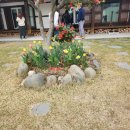 달이뜨면꽃이피고 이미지