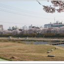효고당