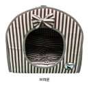 도그피아 이미지