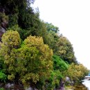 구지서로 이미지