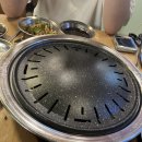 나노갈매기 이미지