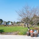 성읍민속남문상가-1 이미지