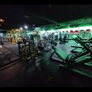 발리휘트니스 이미지