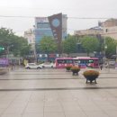 순천역관광안내소 이미지