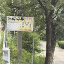 방골제1농로 | 영동 물한계곡 평상 방갈로｜친구들과 다녀온 여름 계곡 물놀이 후기 🩵