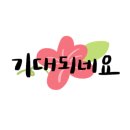보스톤여행사 이미지