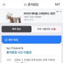 혼자왔짐 이미지