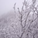 유산로 Daum카페