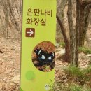 은판나비화장실 이미지