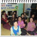 양지촌경로당 Daum카페