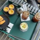 김포 애견동반 대형카페 커피가 맛있는 커스텀커피 더하우스(내돈내산)