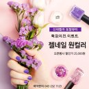 신데렐라뷰티