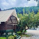 폭포펜션 | 지리산 품속 힐링 끝판왕! 자연 그대로를 즐기는 지리산폭포펜션 후기