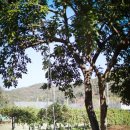 비룡농원 이미지