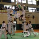 태권돌이 이미지