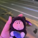 33인형뽑기 | 영월 다 뽑아랑 인형 뽑기 방문기