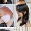 커티즘바이 이미지