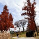 뉴힐링하우스 | 뉴 신상 대구 칠곡 가산수피아 카페 모하 더 그린하우스