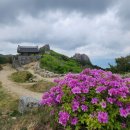 산성등산로1 이미지