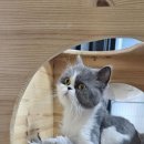 신동축산 이미지