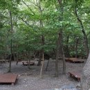 성주산휴양림 이미지