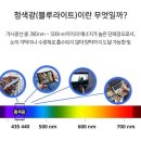 다비치안경 중앙점 이미지