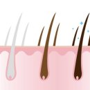 👨‍🦳 3040 남성 흰새치관리 (초기증상, 샴푸, 관리법)