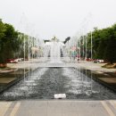 월드플라워 이미지