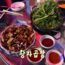 왕자식당 | 길음동 곱창전골 맛집 | 왕자곱창 재방문 후기