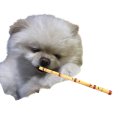 pet63거6664 | 부산에서 꼭 가봐야 할 맛집 5곳! (내돈내산 후기 + 예약 꿀팁)
