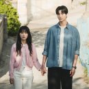 올해세드 스포츠동아