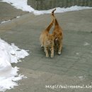 딩동댕동 이미지