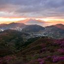 4월 3일 일요당일 - 명산플러스 영취산 진례봉 진달래 산행 안내 - 신청하기 이미지