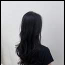 자연미용실 - 봉화군 | 자연미용실