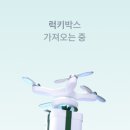 럭키뱅크 이미지