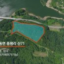 더시퀀스오피스
