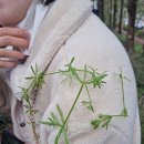 문흥초교 이미지