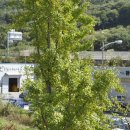 인덕1마을 이미지