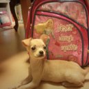 진선동물병원 이미지