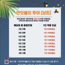 보홀스케치