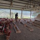 백운농장(1) 이미지