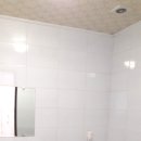 대흥민박 이미지