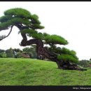 아름다운날들 이미지