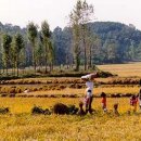 전원일기(田園日記) 이미지