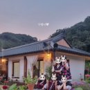 풀솜할머니 이미지