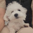 반자주 진해점 이미지